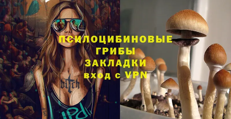 OMG сайт  Ардон  Псилоцибиновые грибы Cubensis 